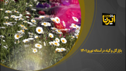 بازار گل و گیاه در آستانه نوروز ۱۴۰۱ بازار گل و گیاه در آستانه نوروز ۱۴۰۱