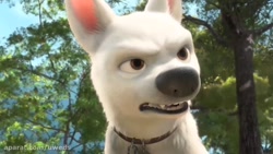 موزیک طنز تیزپا کافین دنس