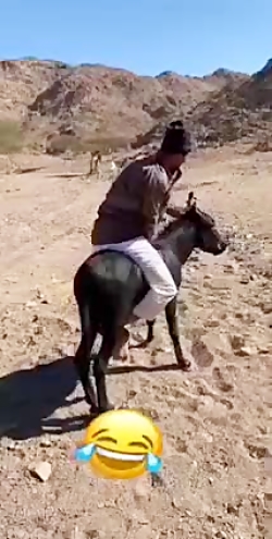 عاقبت استارت زدن وقتی رو دنده...