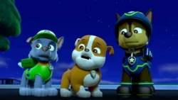 کارتون مخصوص کودک | کارتون سگه...