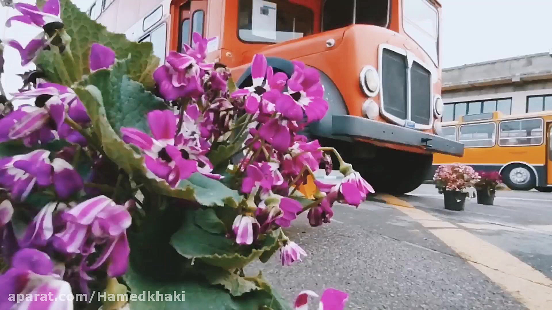 بهار جانان شهره سلطانی
