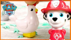 اسباب بازی های سگ های نگهبان ن...