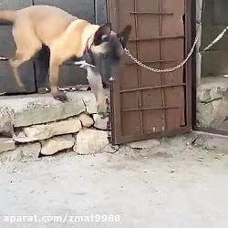 پانسیون شبانه روزی تخصصی پرشین در کرج و تهران