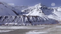 مجموعه مستند نبرد برای زندگی ا...