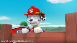 هاپوها و نجات خرس های قطبی  کا...