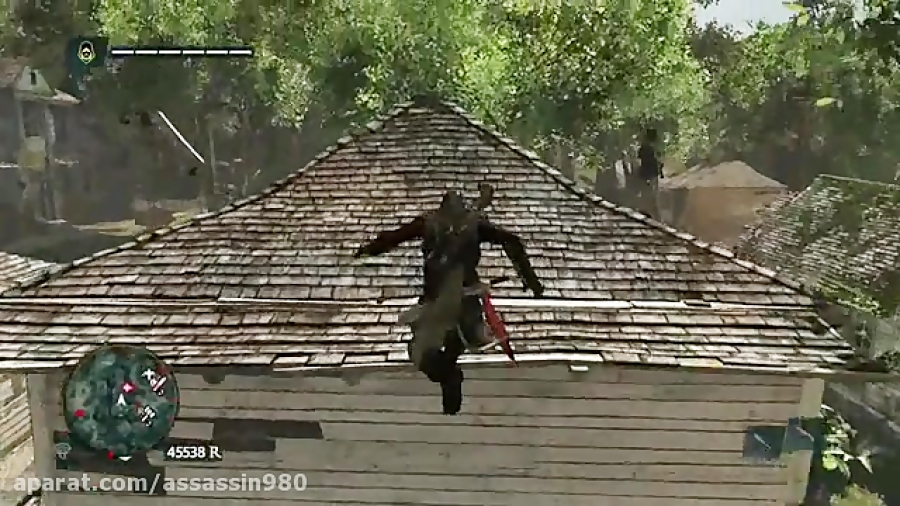 assassin creed freedom cry