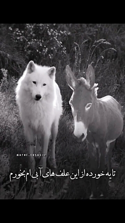 حکایت گرگ و خر