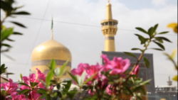 نماهنگ حریم قدسی ویژه چهارشنبه های امام رضایی