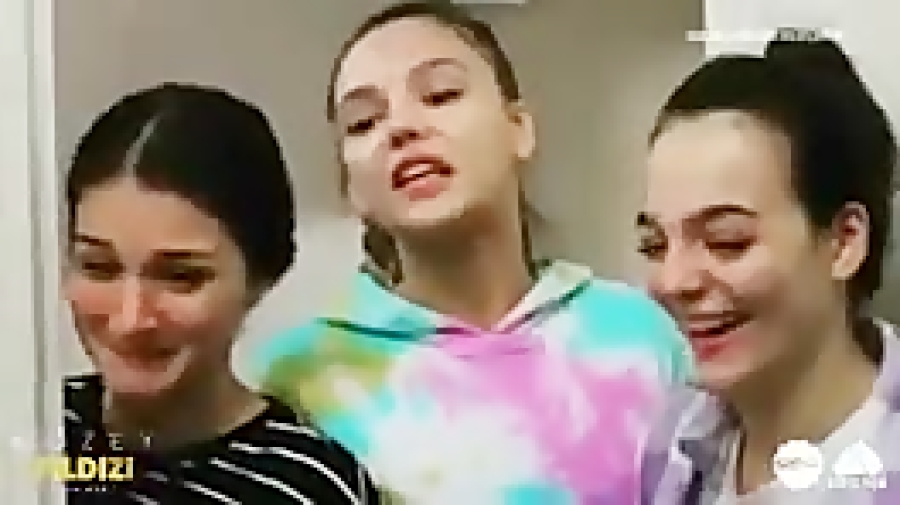 ستاره شمالی