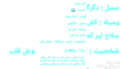 کوامی های جدید با توضیحات