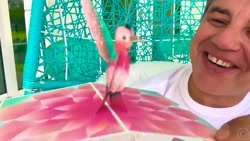 منتخب کارتون ناستیا و بابایی...