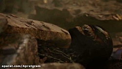 ونوم 2 دوبله فارسی 2021