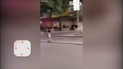 شترمرغ در پیاده رو،،،