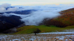 در یازدهمین روز از تعطیلات نور...