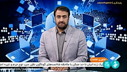 تحقق طرح توسعه فیبر نوری دولت؛ نیازمند حمایت از مخابرات و اپراتور ها تحقق طرح توسعه فیبر نوری دولت؛ نیازمند حمایت از مخابرات و اپراتور ها