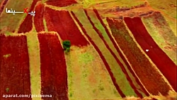 سکانس نقش کشاورزی و نفت در توس...