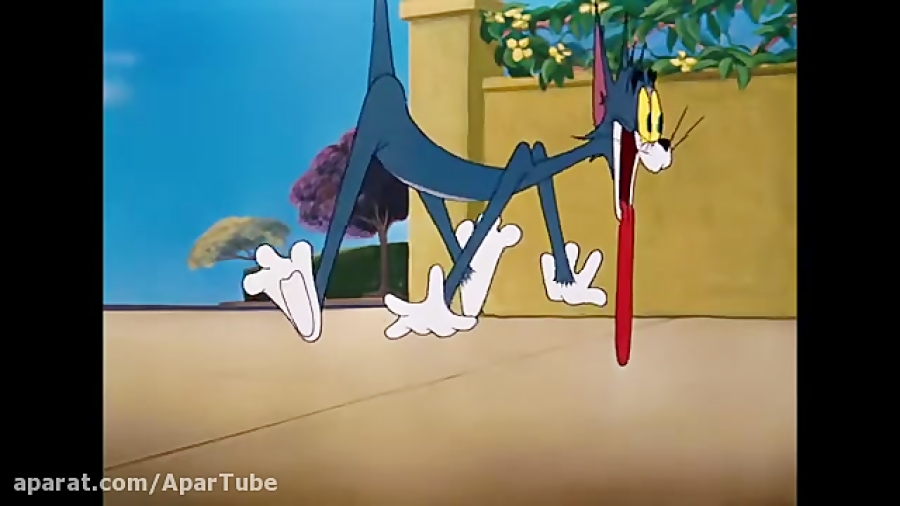 انیمیشن تام و جری / وقتی سگ نگهبان به درخت بسته است / موش و گربه زمان902ثانیه