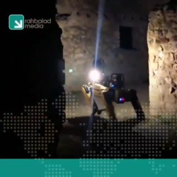 سگ های ربات از آثار تاریخی ایتالیا محافظت می کنند سگ های ربات از آثار تاریخی ایتالیا محافظت می کنند