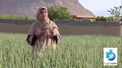 روز بزرگداشت سعدی