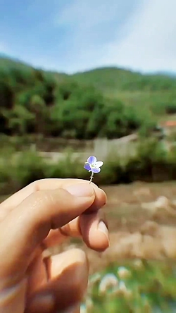 کلیپ تکست خدا .دلنوشته ناب .حر...