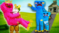 کمدی هاگی واگی  فردی فناف