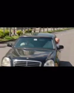فیلم سینمایی سگ بند