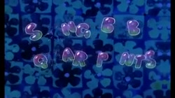 باب اسفنجی جدید