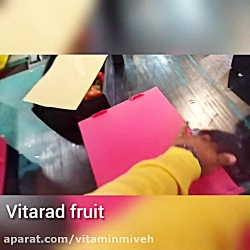 فروش فلفل دلمه رنگی سورت شده ا...