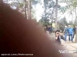 مداح و نی نواز ختم بهشت زهرا ۰۹۱۲۷۹۹۵۸۸۶