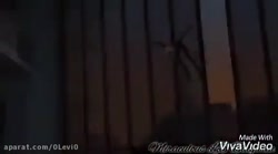 مرگ دختر کفشدوزکی به دست گربه...