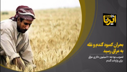 بحران کمبود گندم و غله به عراق رسید بحران کمبود گندم و غله به عراق رسید
