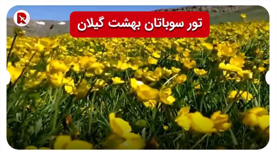 پوستر بزرگ
