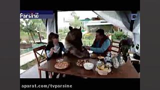 خرسی که فرزند خوانده شد فیلم زمان172ثانیه