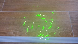 برنامه کودک ناستیا ناستیاشو سر...