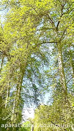 اولین روز حضور دانشجویان در دا...