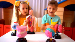 برنامه کودک دیانا  دیانا و روم...