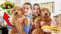 مدی و سیلا  چالش انتخاب غذا تو...