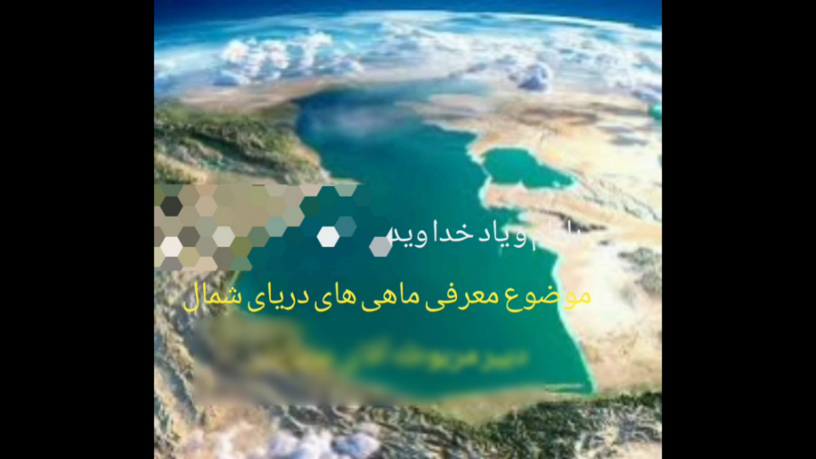 معرفی ماهی های شمال و خواص آن ها زمان48ثانیه