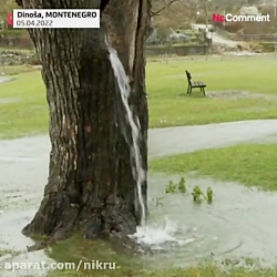 چشمه آب از درخت توت ۱۵۰ ساله میجوشد چشمه آب از درخت توت ۱۵۰ ساله میجوشد