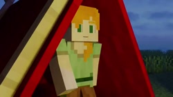 انیمیشن ماینکرافت