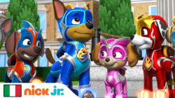 کارتون سگ های نگهبان  توله ها...