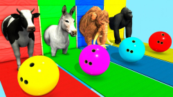 کارتون مسابقه حیوانات  انتخاب...