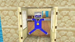 انیمیشن ماینکرافت