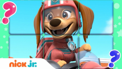 کارتون سگهای نگهبان  انیمیشن س...