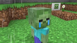 انیمیشن ماینکرافت