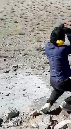 گروه بازرگانی برادران خلیفه