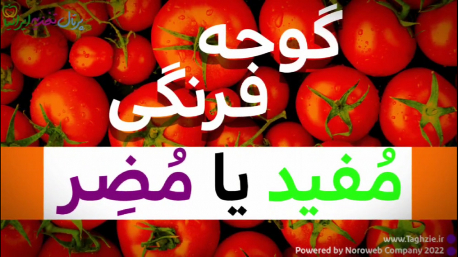 گوجه فرنگی بخوریم یا نه؟