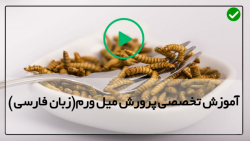 راهنمای کامل پرورش میل ورم