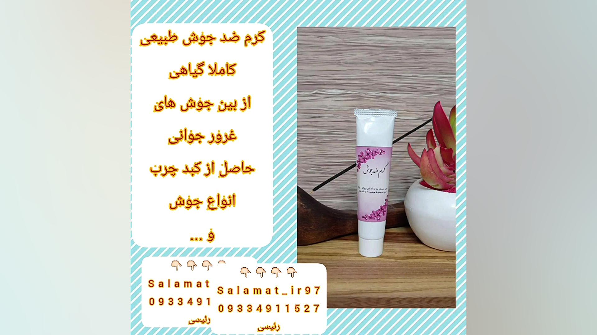 کرم ضد جوش طبیعی 09334911527 درمان سلولیت