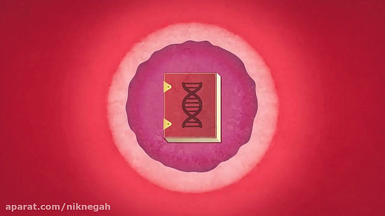 ارائه اصلی/ ژنوم انسان/ پزشکی/ نمایشگاه طاها جوانه/ ۴۶ـ۲ پلتفرم Drug Screening